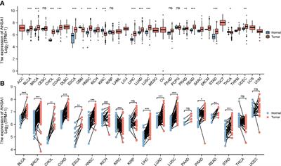 The Prognostic and Immunotherapeutic Significance of AHSA1 in Pan-Cancer, and Its Relationship With the Proliferation and Metastasis of Hepatocellular Carcinoma